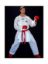 Picture of WKF APPROVED KUMITE UNIFORM K-80