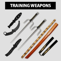 Picture for category TRAINING WEAPONS