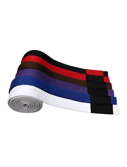 Picture of BJJ BELT
