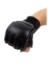 Picture of MMA GLOVES