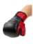 Picture of MMA HYBRID GLOVES BLK/RED