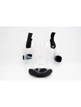 Picture of Face Shield