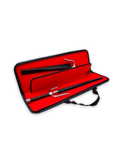 Picture of SAI CARING CASE