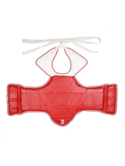 Picture of CHEST GUARD