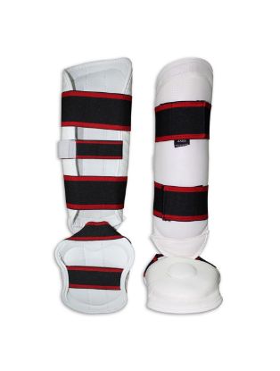 Picture of TKD SHIN IN STEP