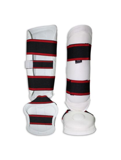 Picture of TKD SHIN IN STEP