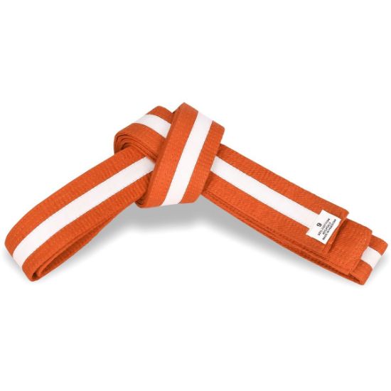 Picture of ORANGE BELT WITH COLORS STRIPE