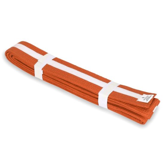 Picture of ORANGE BELT WITH COLORS STRIPE