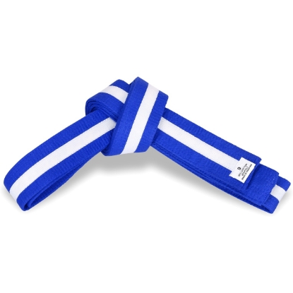 Picture of BLUE BELT WITH COLOR STRIPE