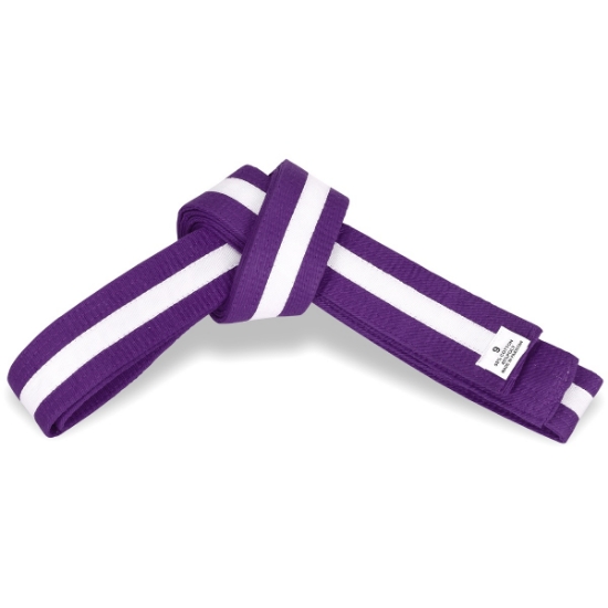 Picture of PURPLE BELT WITH COLOR STRIPE