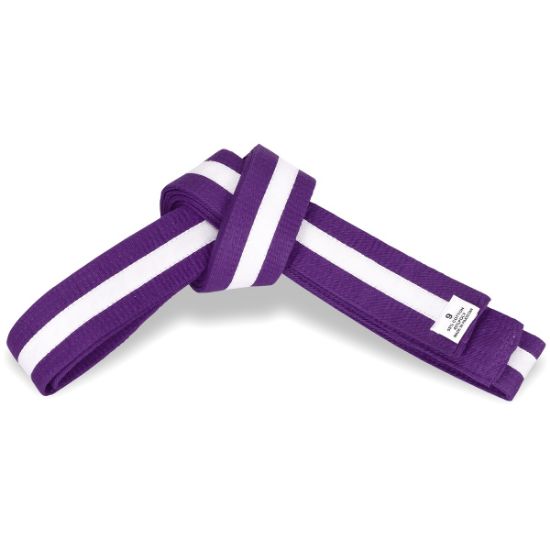 Picture of PURPLE BELT WITH COLORS STRIPES