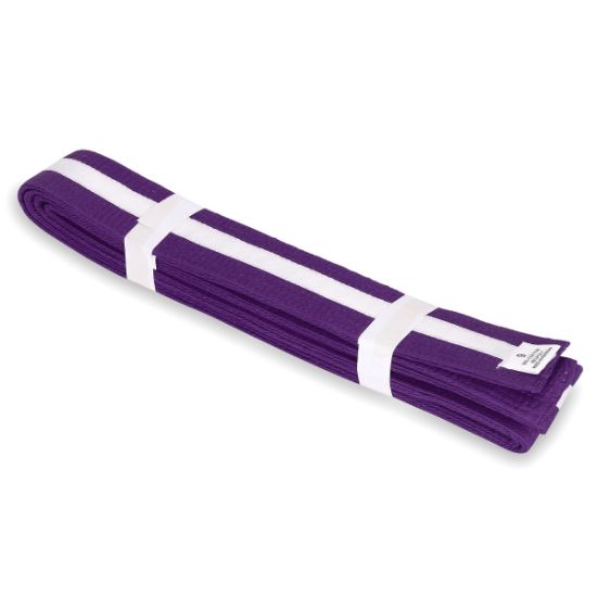 Picture of PURPLE BELT WITH COLORS STRIPES