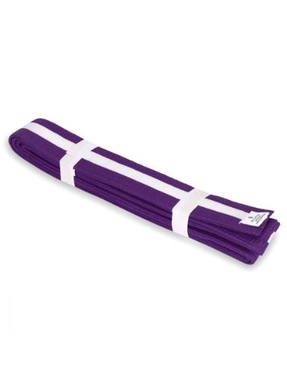 Picture of PURPLE BELT WITH COLORS STRIPES