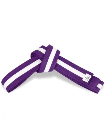 Picture of PURPLE BELT WITH COLORS STRIPES