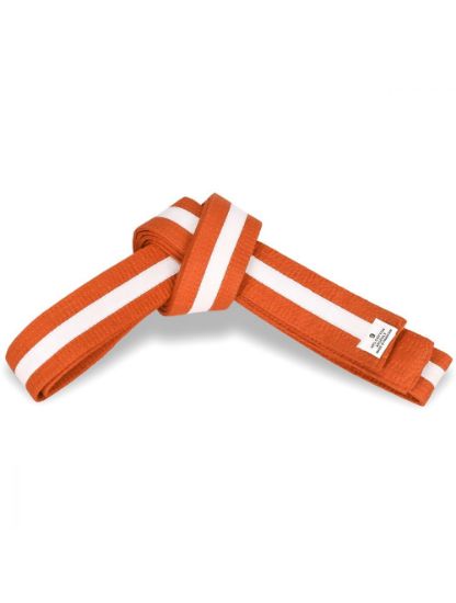 Picture of ORANGE BELT WITH COLORS STRIPES