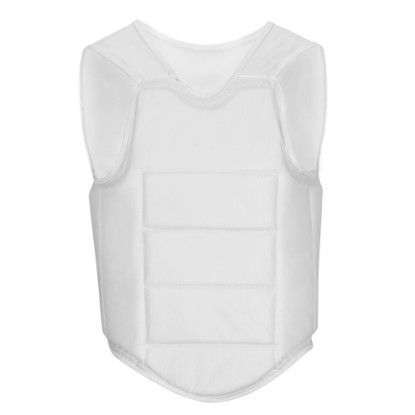 Picture of FEATHER LIGHT INNER CHEST GUARD