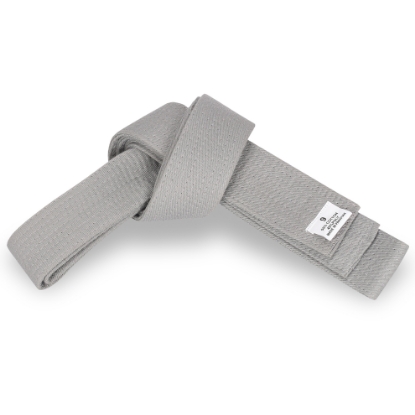Picture of SOILD COLOR GREY BELT
