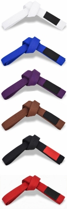 Picture of BJJ BELT