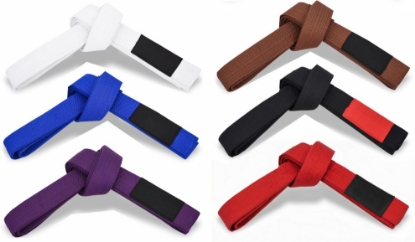 Picture of BJJ BELT