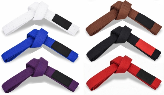 Picture of BJJ BELT