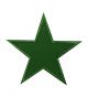 STAR PATCH GREEN 3″