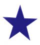 STAR PATCH NAVY 3″