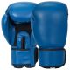 BOXING GLOVES BLUE